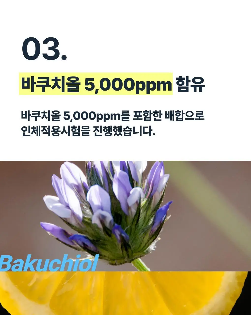 [보습개선/진정]반코르 바쿠치올 5000ppm 모공결 주름결 세럼 슬로우에이징 상세페이지 9